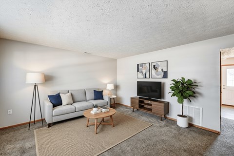 A living room with a grey couch, a wooden coffee table, a television, and a potted plant.