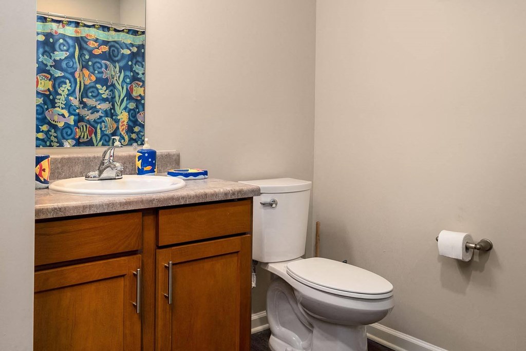 a bathroom with a toilet sink and mirror