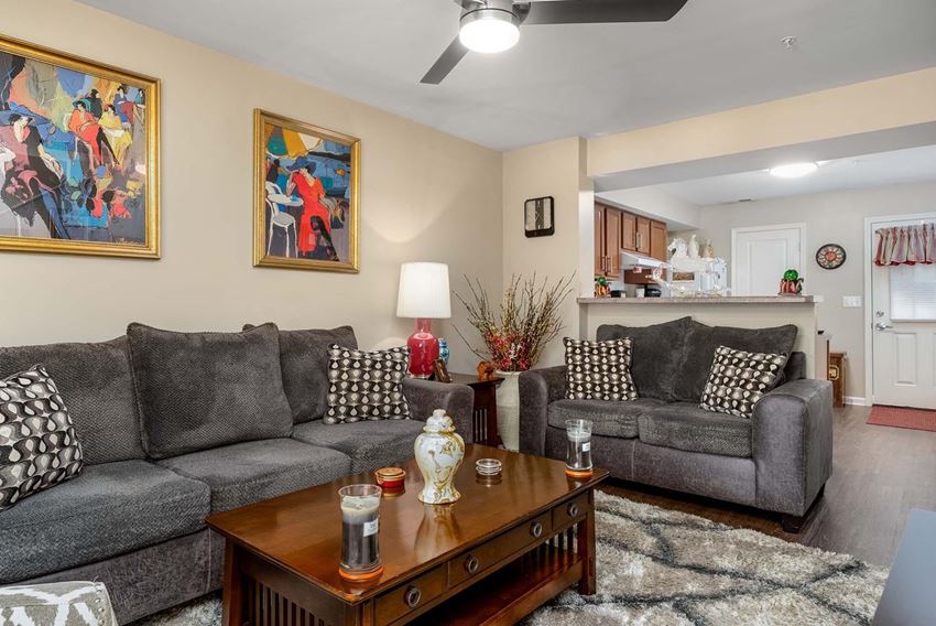 a living room with couches and a coffee table - Photo Gallery