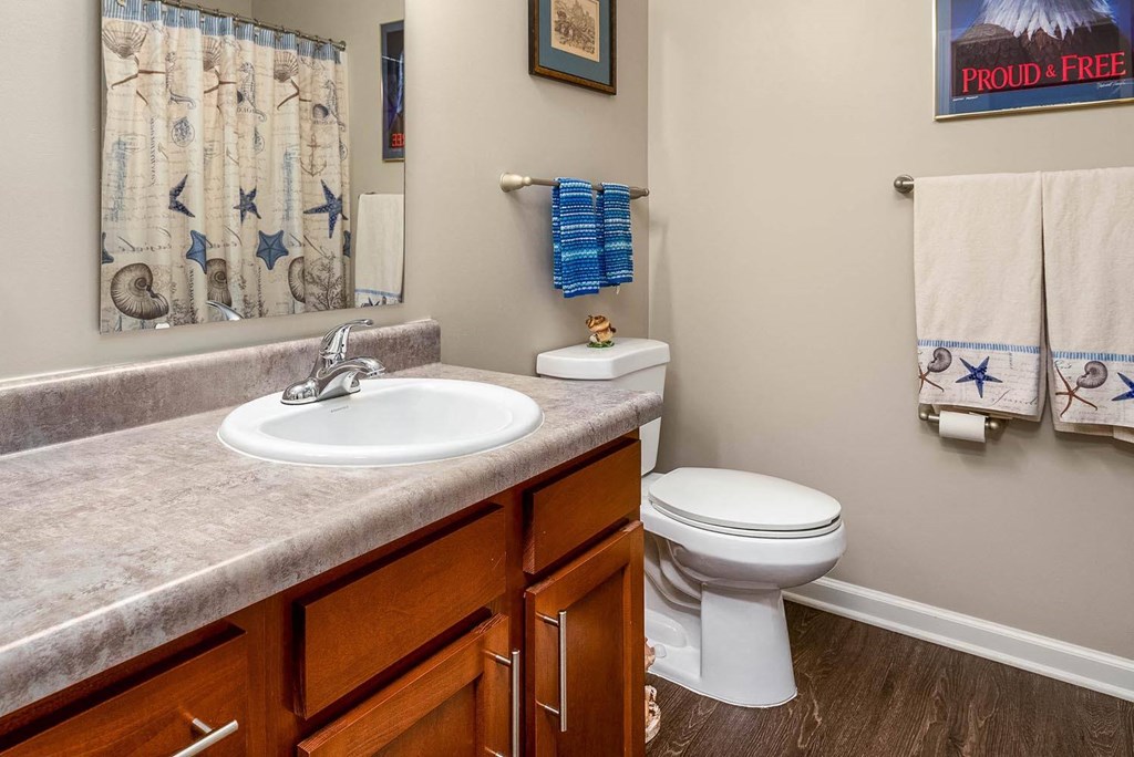 a bathroom with a sink toilet and mirror