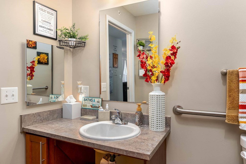 a bathroom with a sink and a mirror