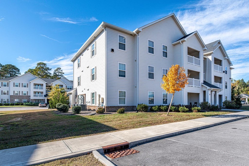 A white apartment building with a yellow tree in front.