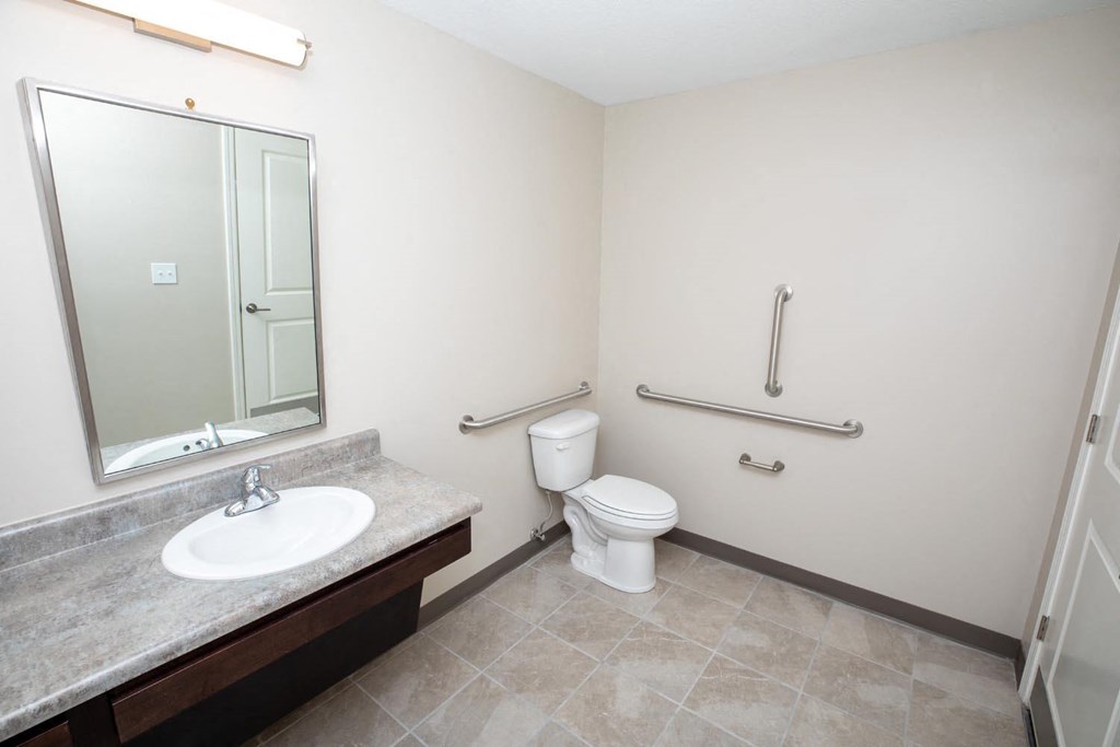 a bathroom with a toilet and a sink and a mirror
