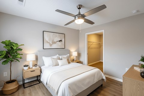A bedroom with a large bed, a ceiling fan, and a plant.