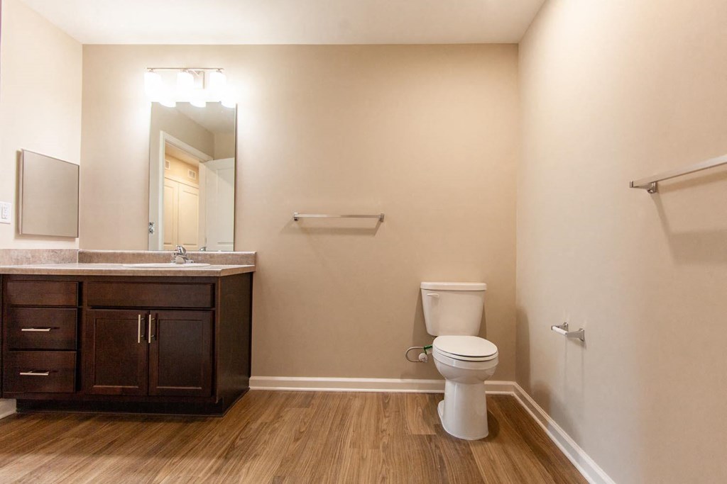 a bathroom with a toilet and a sink and a mirror