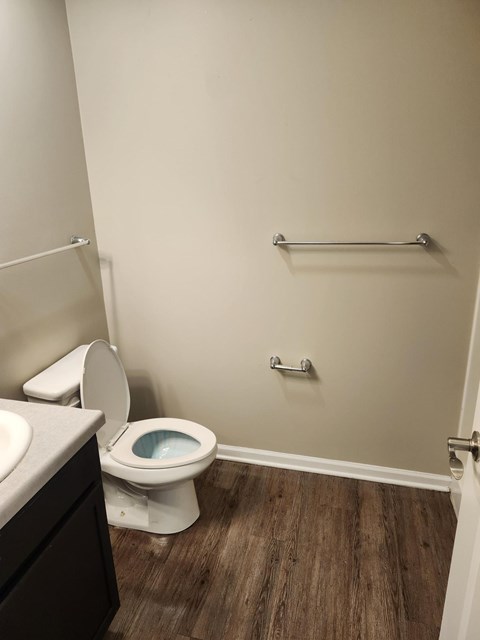A white toilet with a blue bowl sits in a bathroom with wood flooring.