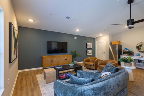 A living room with a grey couch and a television.