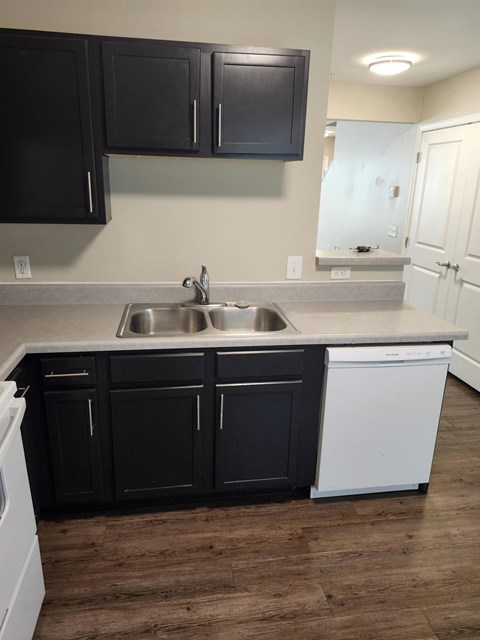 A kitchen with black cabinets and a white dishwasher.