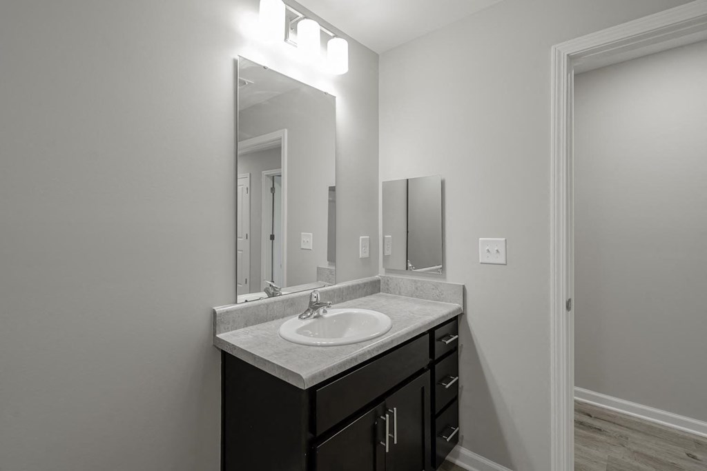 a bathroom with a sink and a mirror