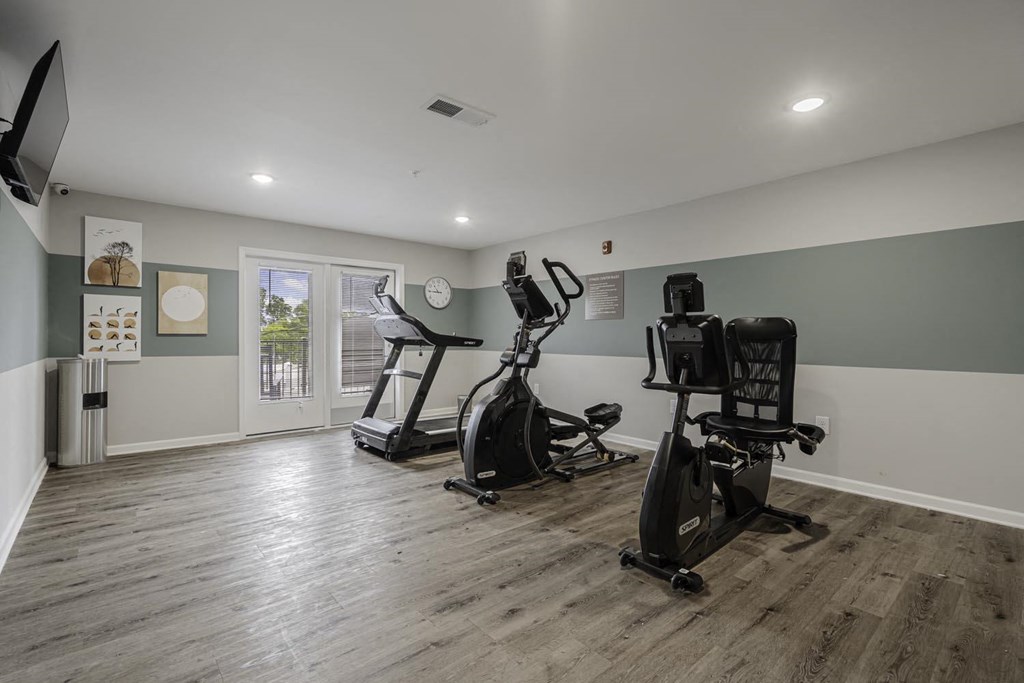 the gym in the owners home is equipped with treadmills and ellipticals