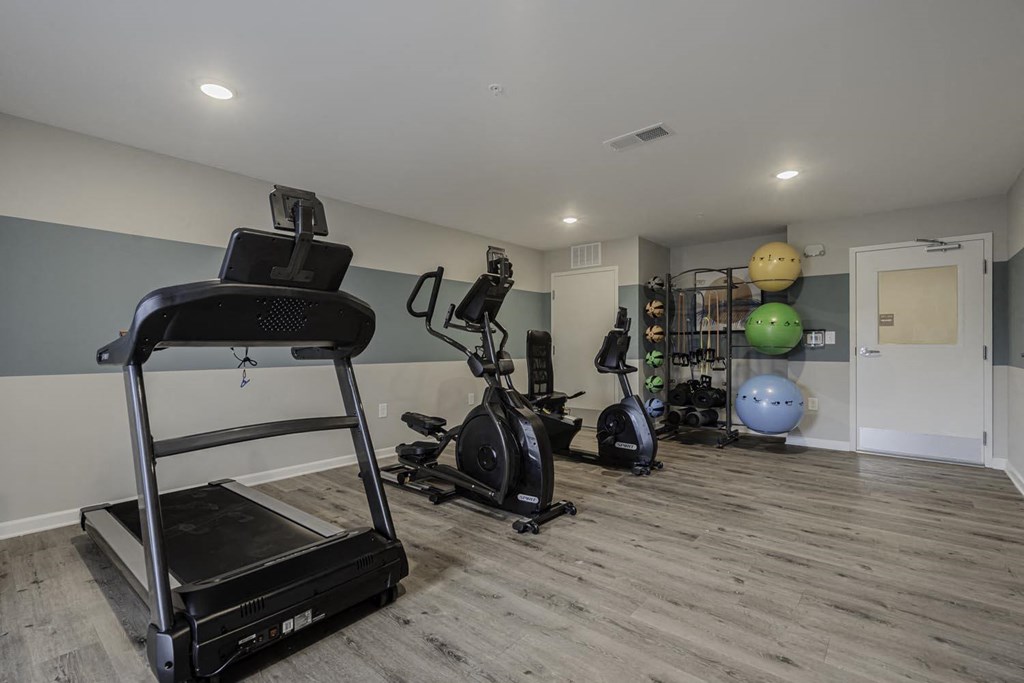a gym with treadmills and weights in a home gym