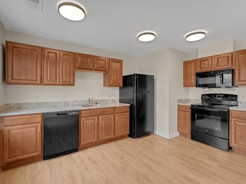 7410 Grace Drive 1-3 Beds Apartment, Affordable for Rent - Photo Gallery 6