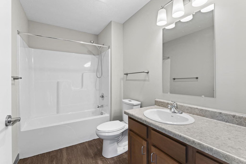 a bathroom with a shower toilet and sink and a mirror