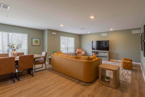 A living room with a brown sofa and a television.