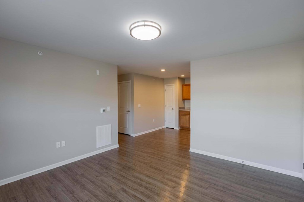 A room with a wooden floor and a ceiling light.