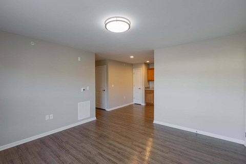 A room with a wooden floor and a ceiling light.