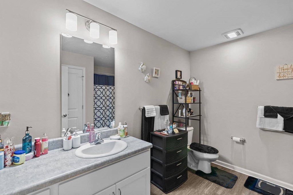 a bathroom with a sink and a toilet and a mirror