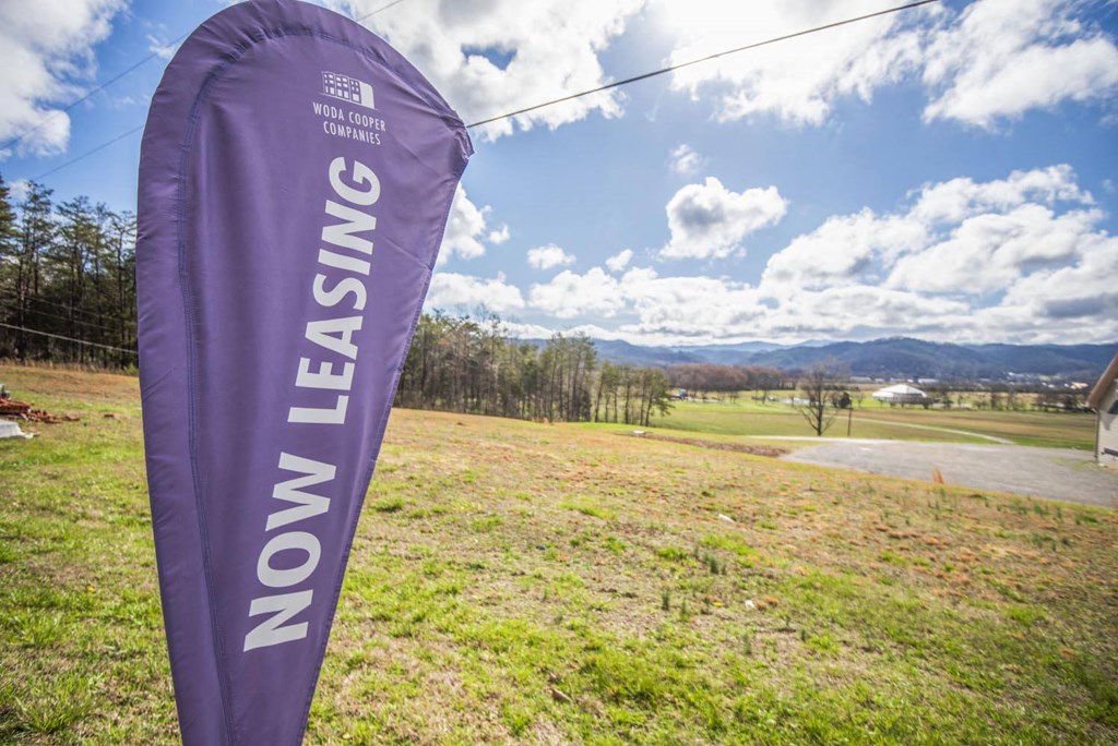 a purple flag in front of a field with mountains in the background
