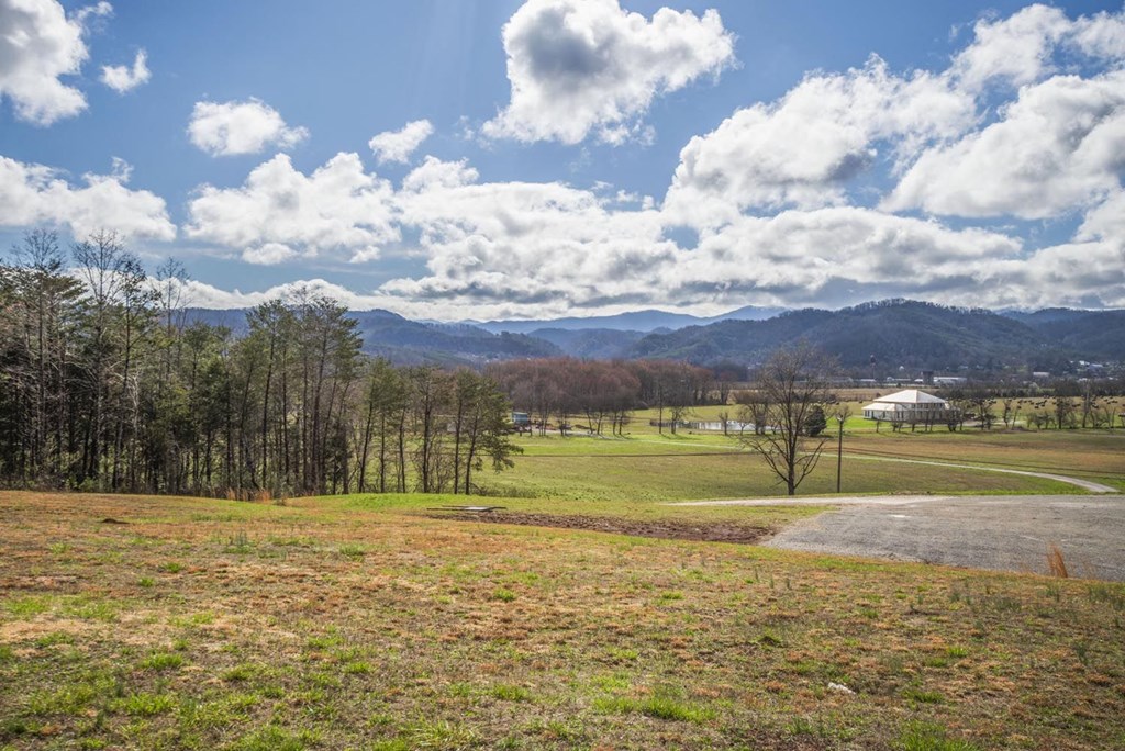a field with a road and mountains in the background