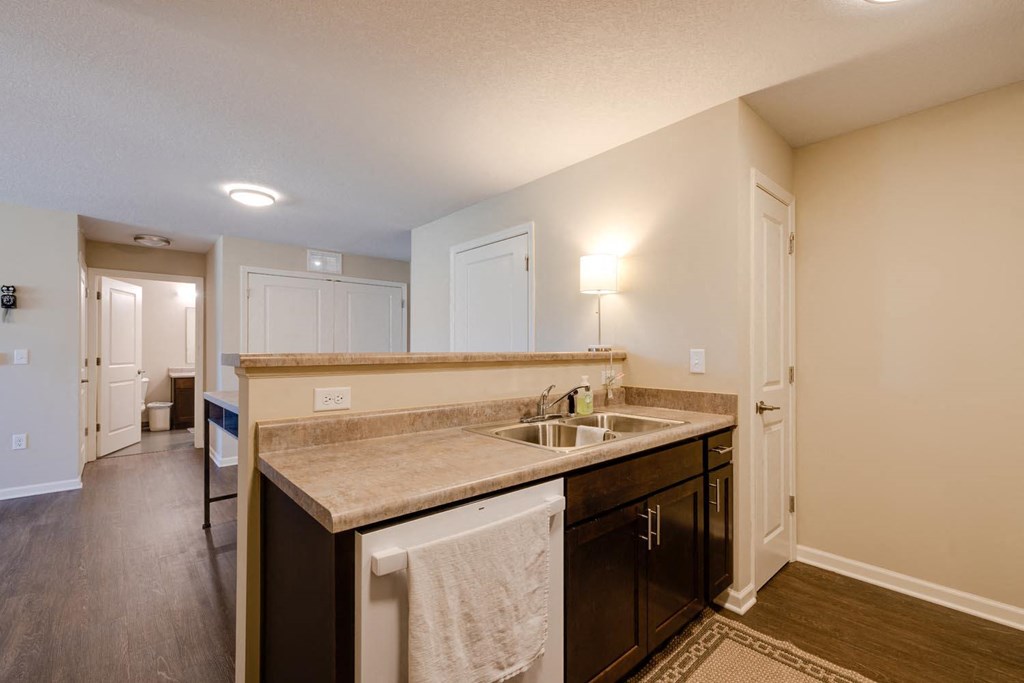 a kitchen with a sink and a dishwasher
