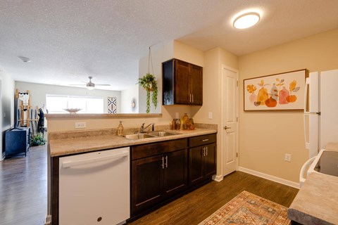 a kitchen with a sink and a dishwasher