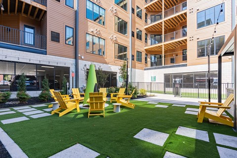 A green tree stands in a courtyard with yellow chairs.