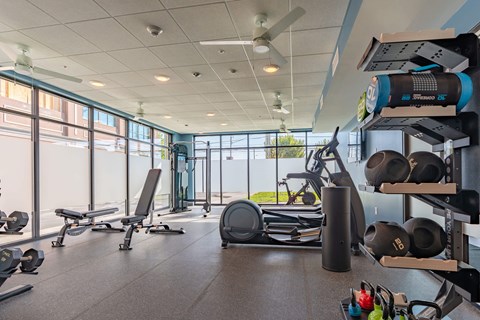A gym with a variety of equipment including weights and a treadmill.