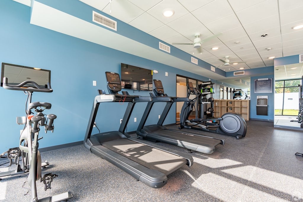 A gym with treadmills, exercise bikes, and other equipment.