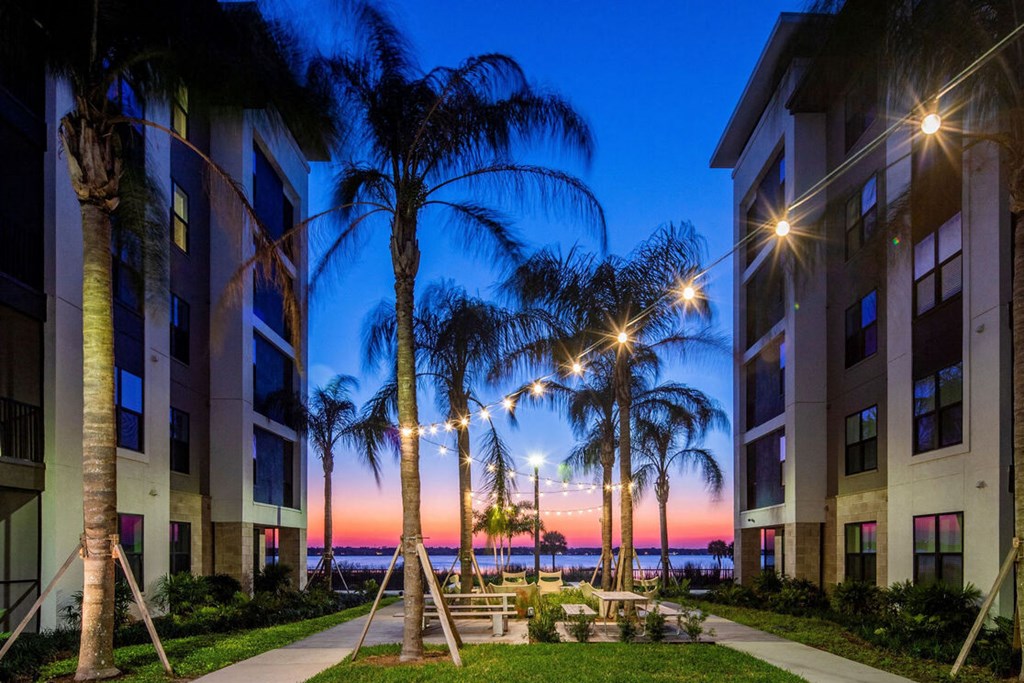 a city at dusk with palm trees and walkway to the beach