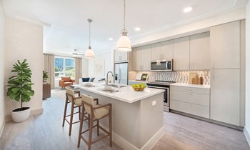 Beautiful, open kitchens with modern finishes. - Photo Gallery 20