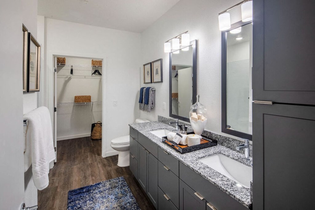 a bathroom with a sink and a toilet