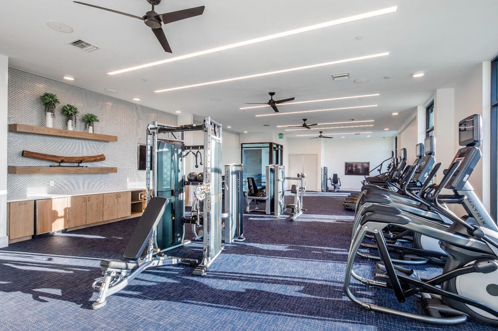a gym with weights and cardio equipment in a building