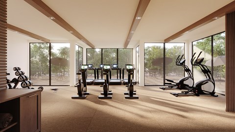 A gym with a variety of exercise equipment is shown.