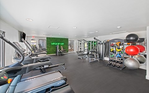 A gym with a treadmill, weights, and exercise equipment.
