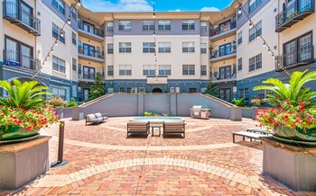 2815 Allen Street #120 Studio-2 Beds Apartment for Rent - Photo Gallery 4