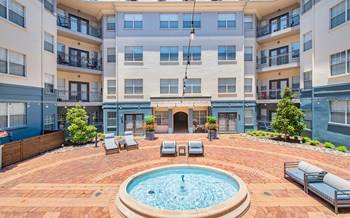 2815 Allen Street #120 Studio-2 Beds Apartment for Rent - Photo Gallery 3