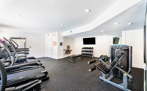 a gym with cardio equipment and a tv on the wall