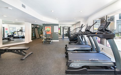 the gym at the preserve at polo terrace apartments