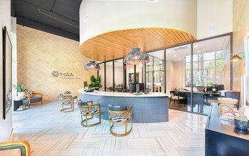 2815 Allen Street #120 Studio-2 Beds Apartment for Rent - Photo Gallery 6