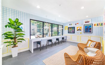 2815 Allen Street #120 Studio-2 Beds Apartment for Rent - Photo Gallery 8