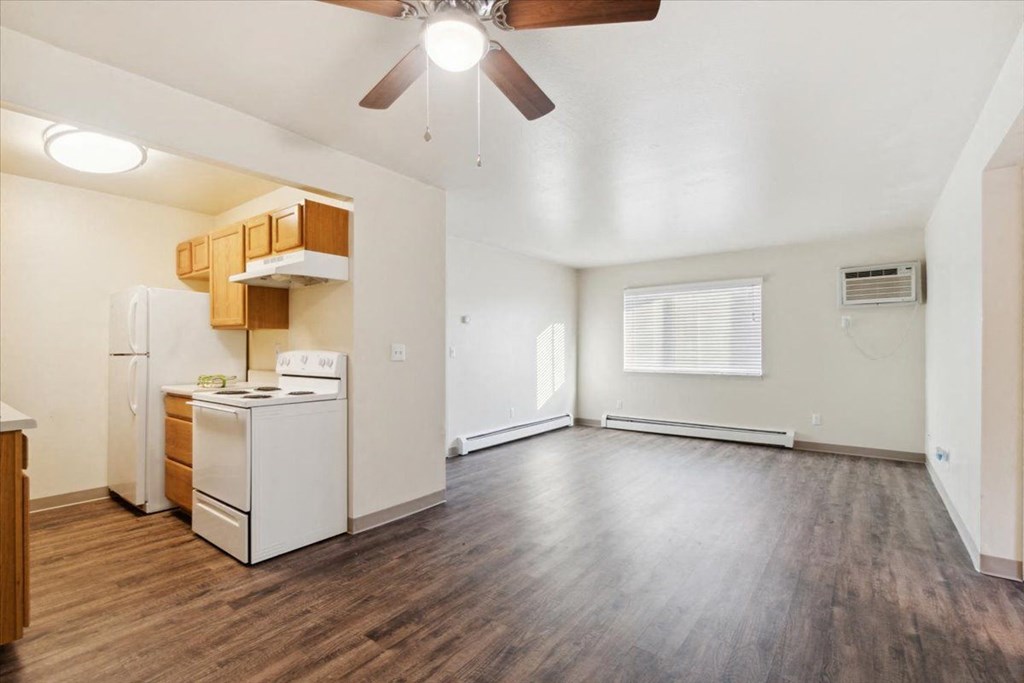 Living Room and Kitchen