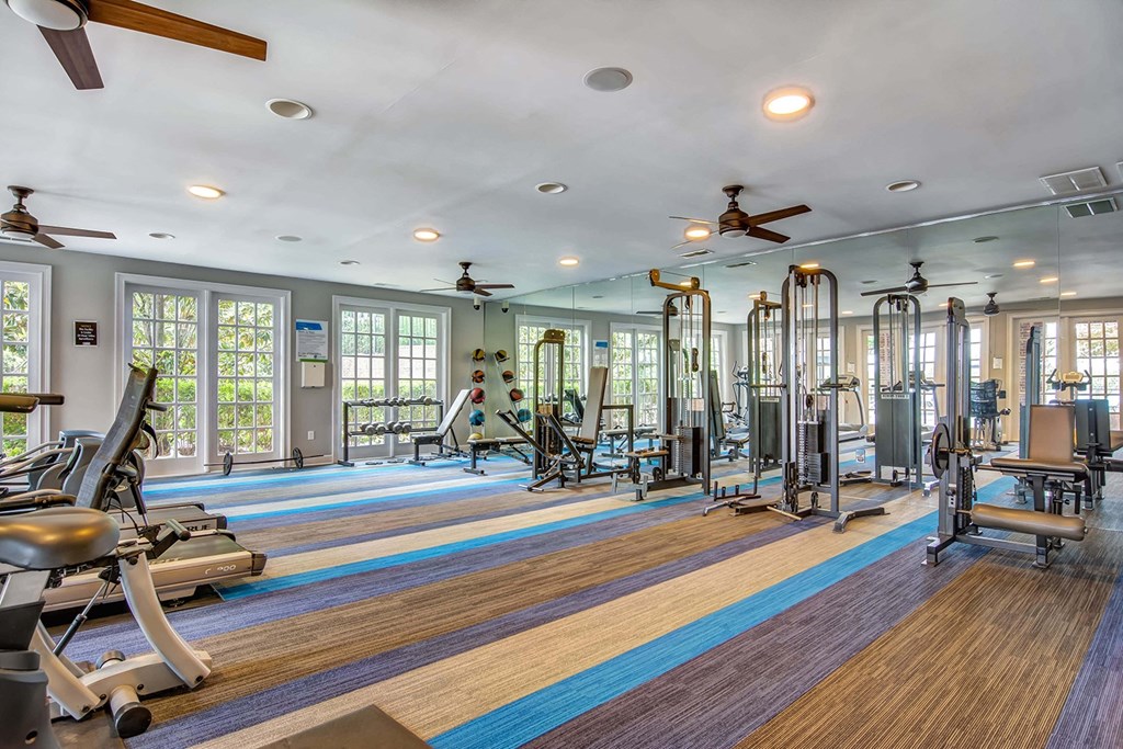 Gym and Fitness Center