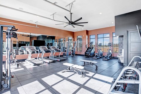 On-site fitness center with cardio and strength training equipment at Argento at the Bridges apartments in McDonough, GA