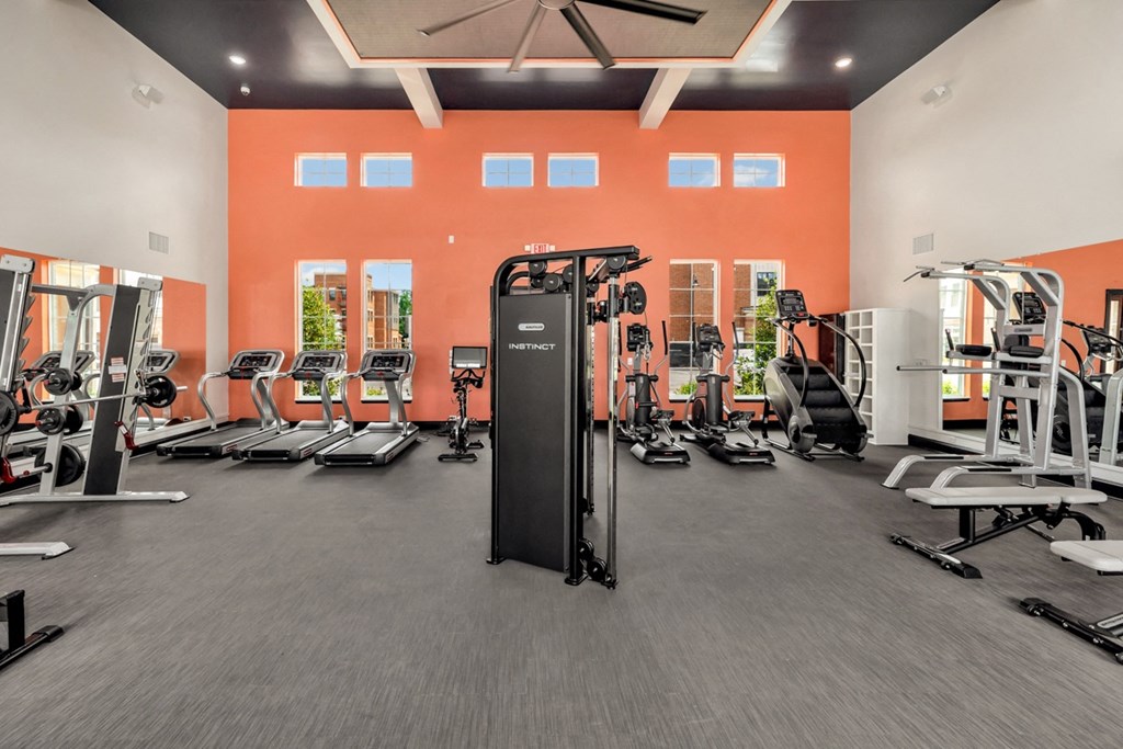 Gym & Fitness Center