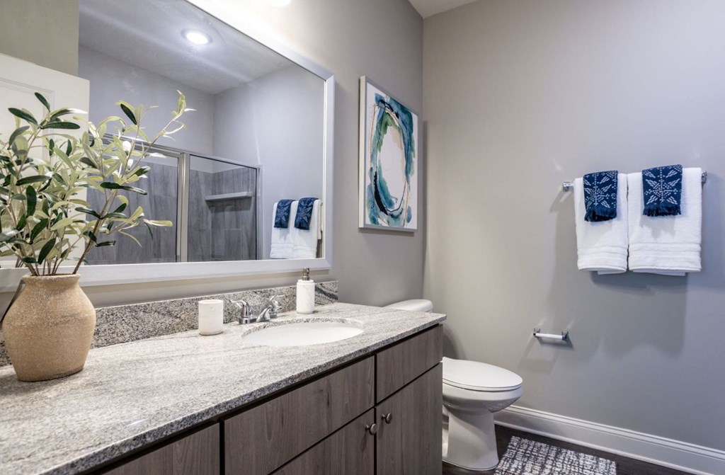 Model bathroom with grey sleek wood grain cabinets and brushed nickel fittings, granite marbleized looking counter and very large vanity.  Hand towels hanging and artwork behind the toilet. wood-like plank flooring and decorative rug.