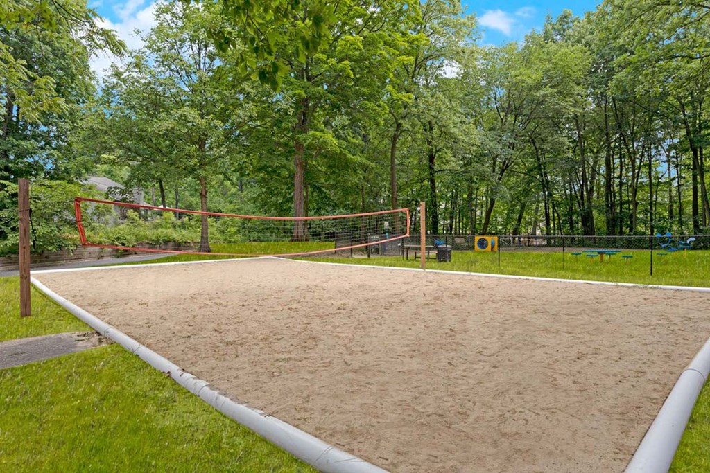 On-site Volleyball Court and Dog Park