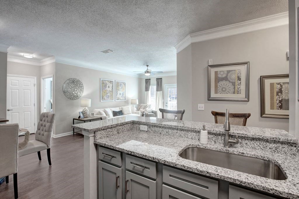 Kitchen and Living Room