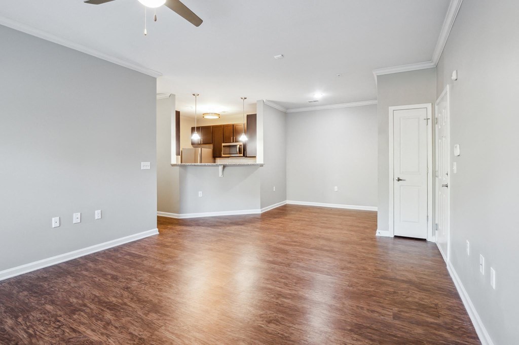 Kitchen and Living Room