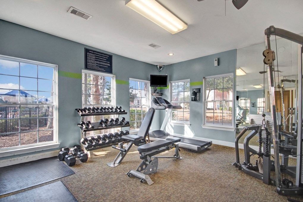 Gym and Fitness Center