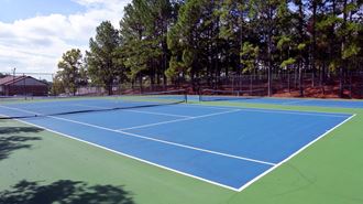 Two blue tennis courts with trees and green turf surrounding.